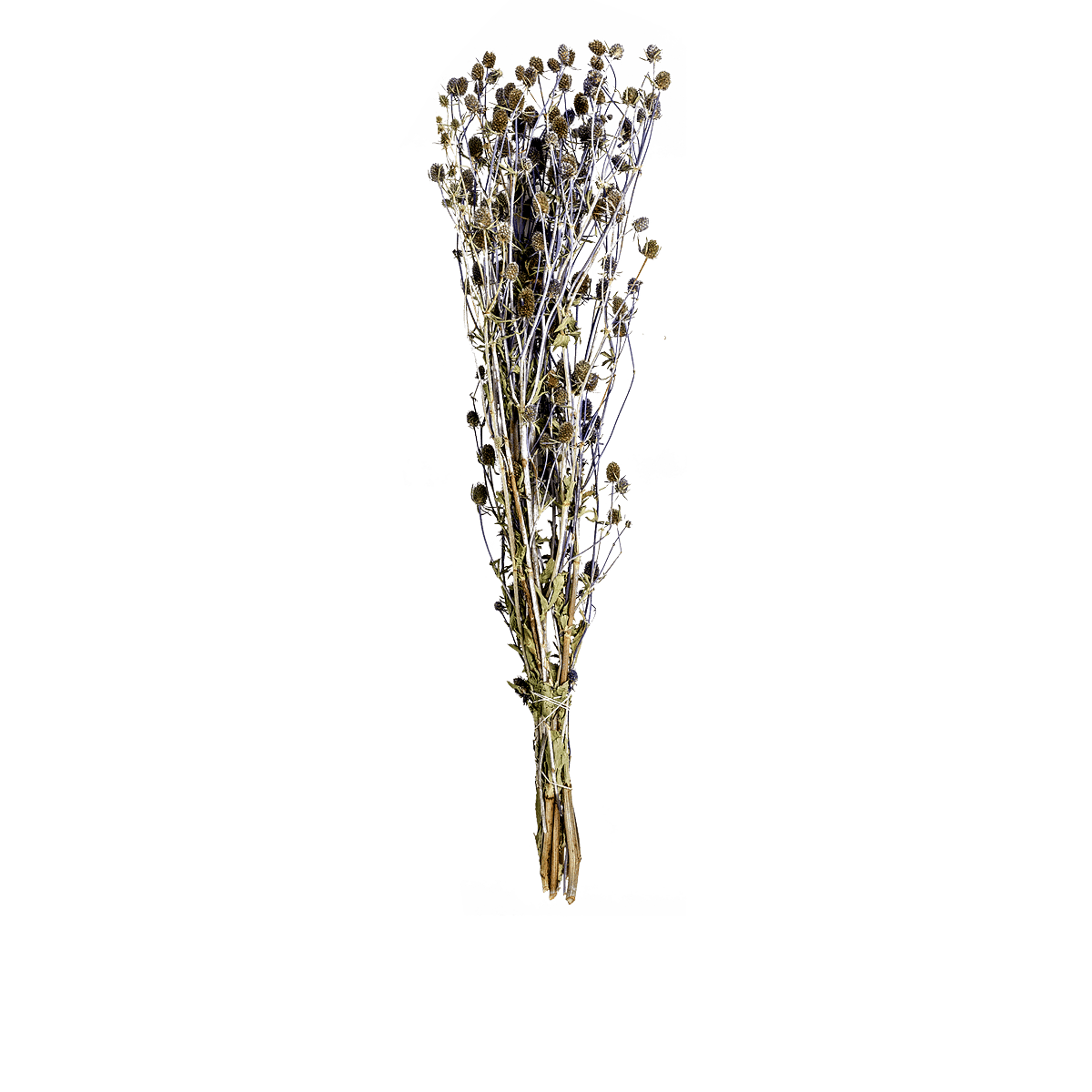RI004147_2