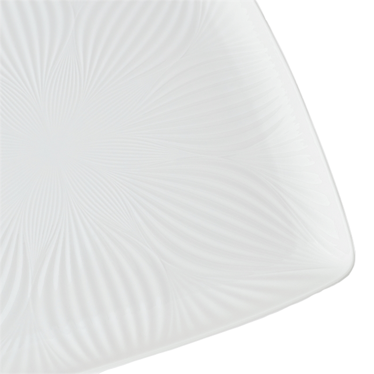 RI004582_1_1