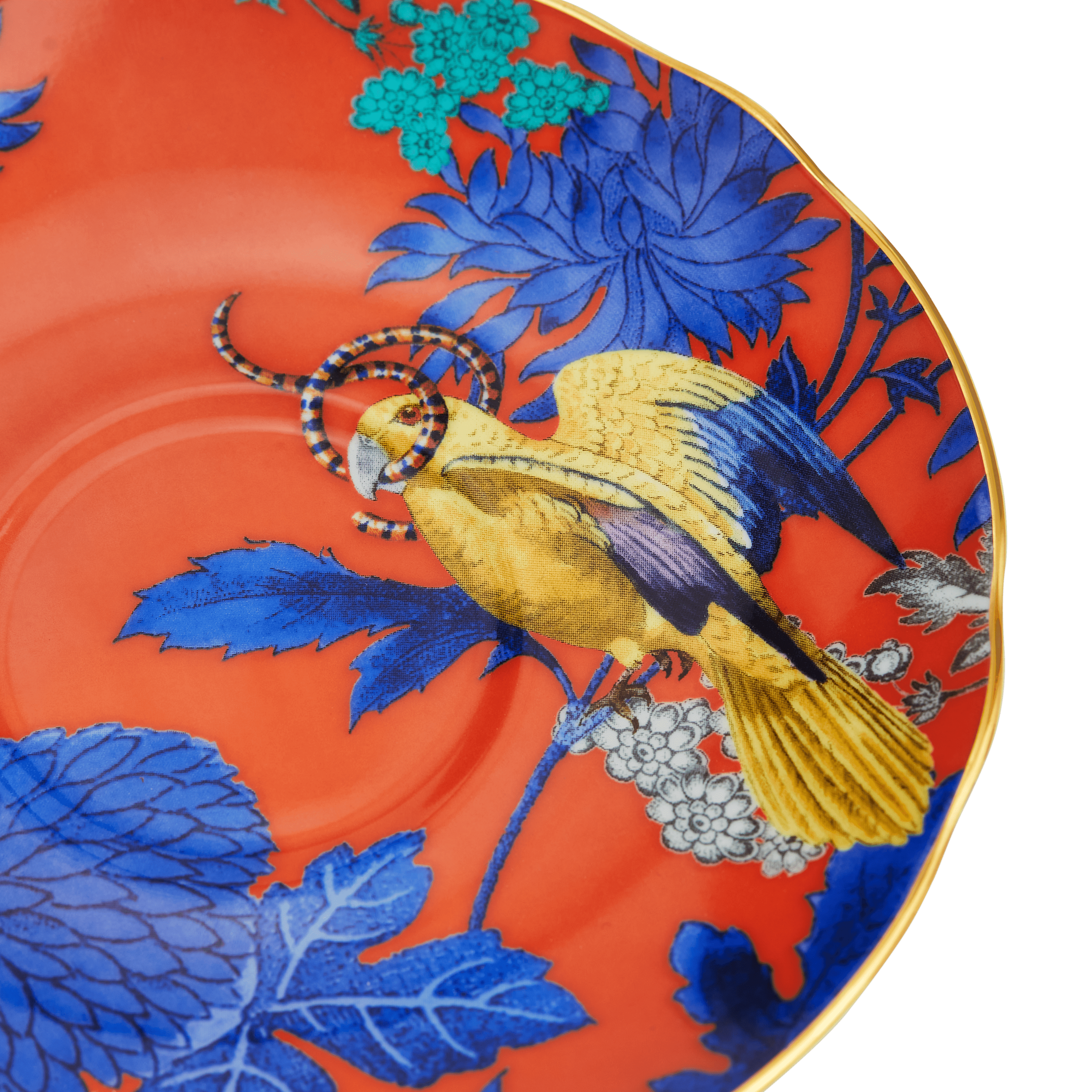 Wonder Lust Tea Cup & Saucer