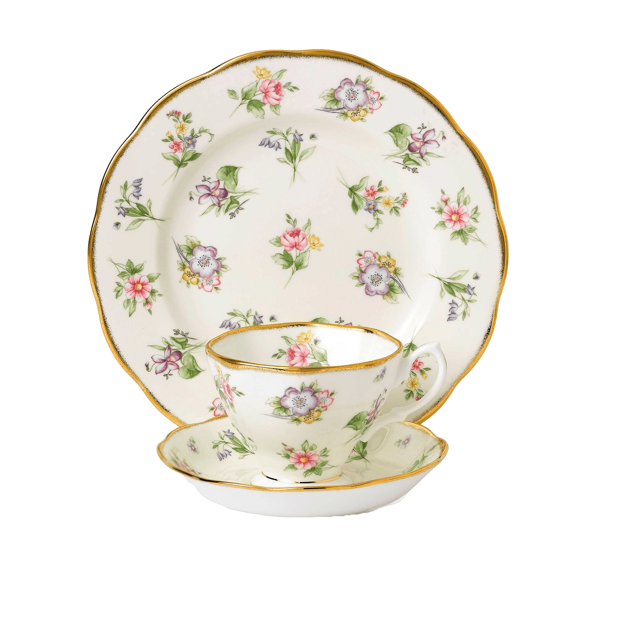 1920's Spring Meadow Tea Cup & Saucer