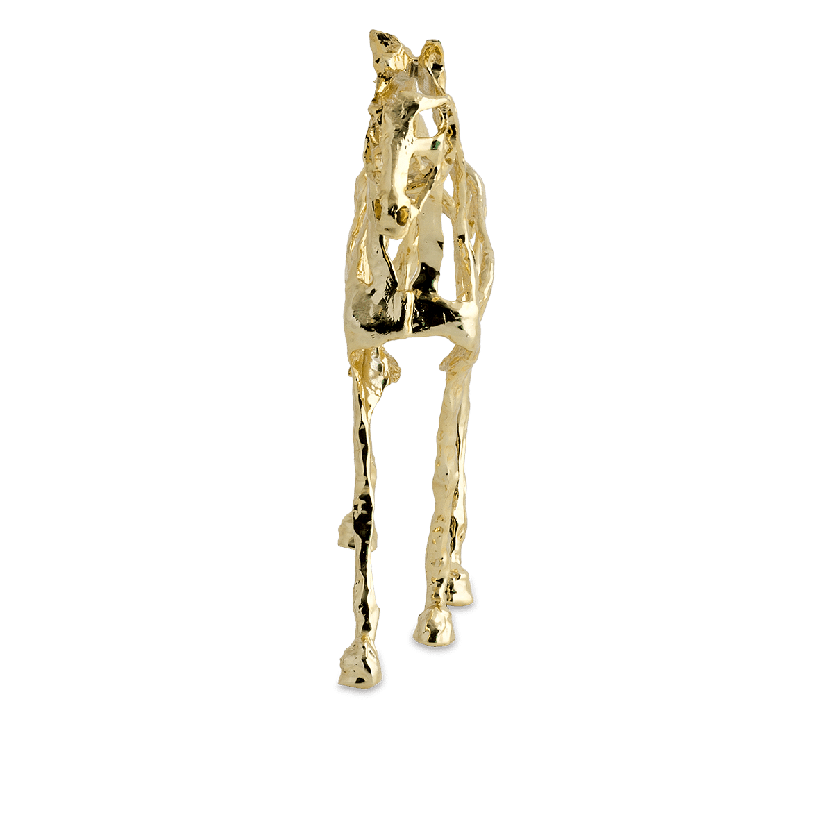 RI004918_1_1