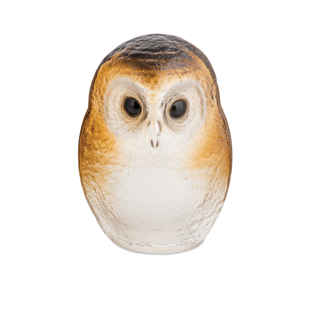 Safari Owlet