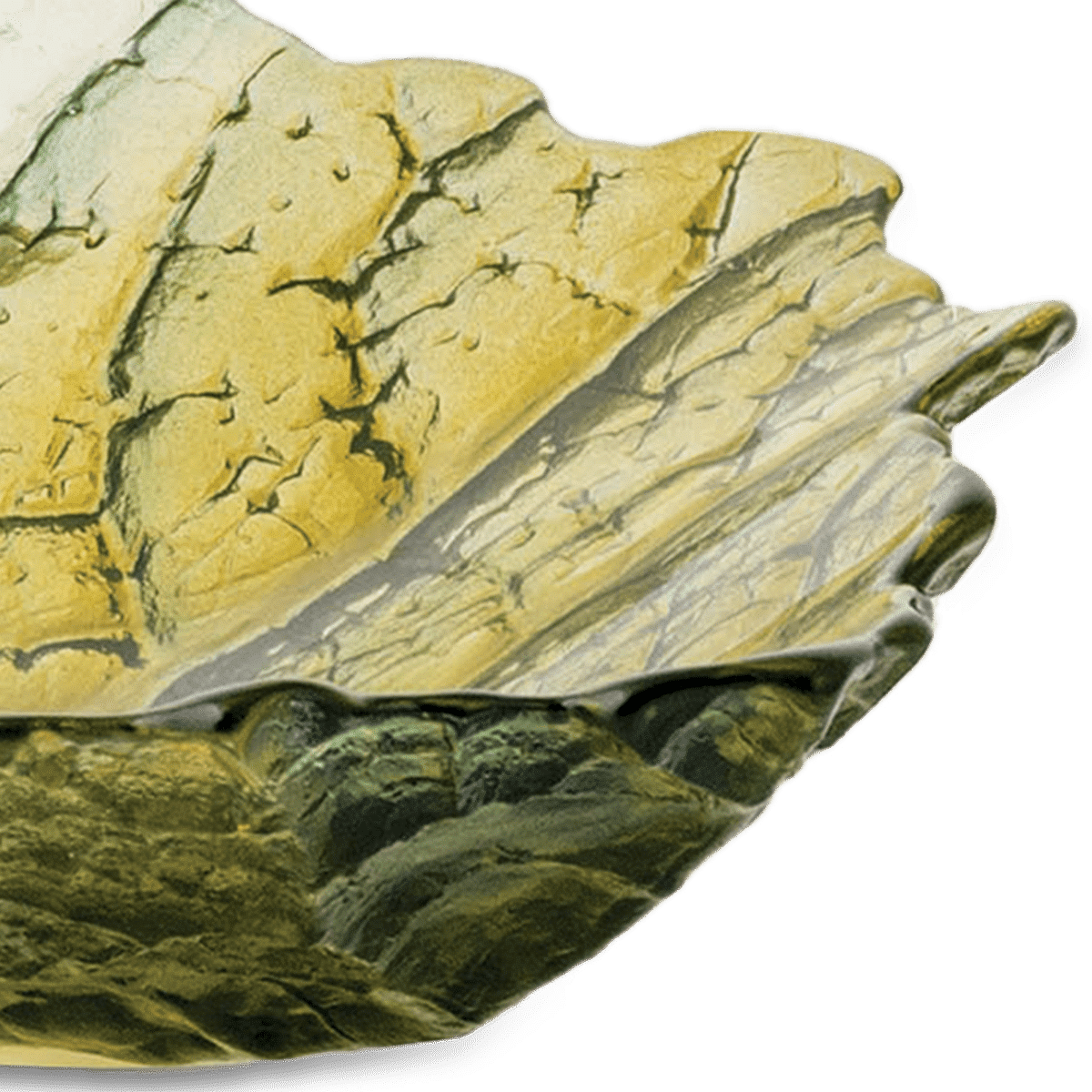 RI004930_1_1_2