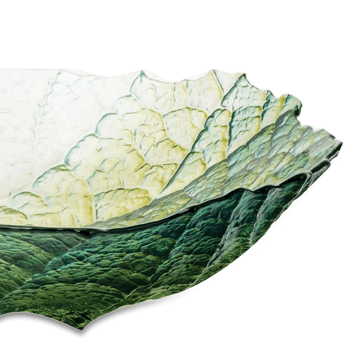 RI004931_1_1
