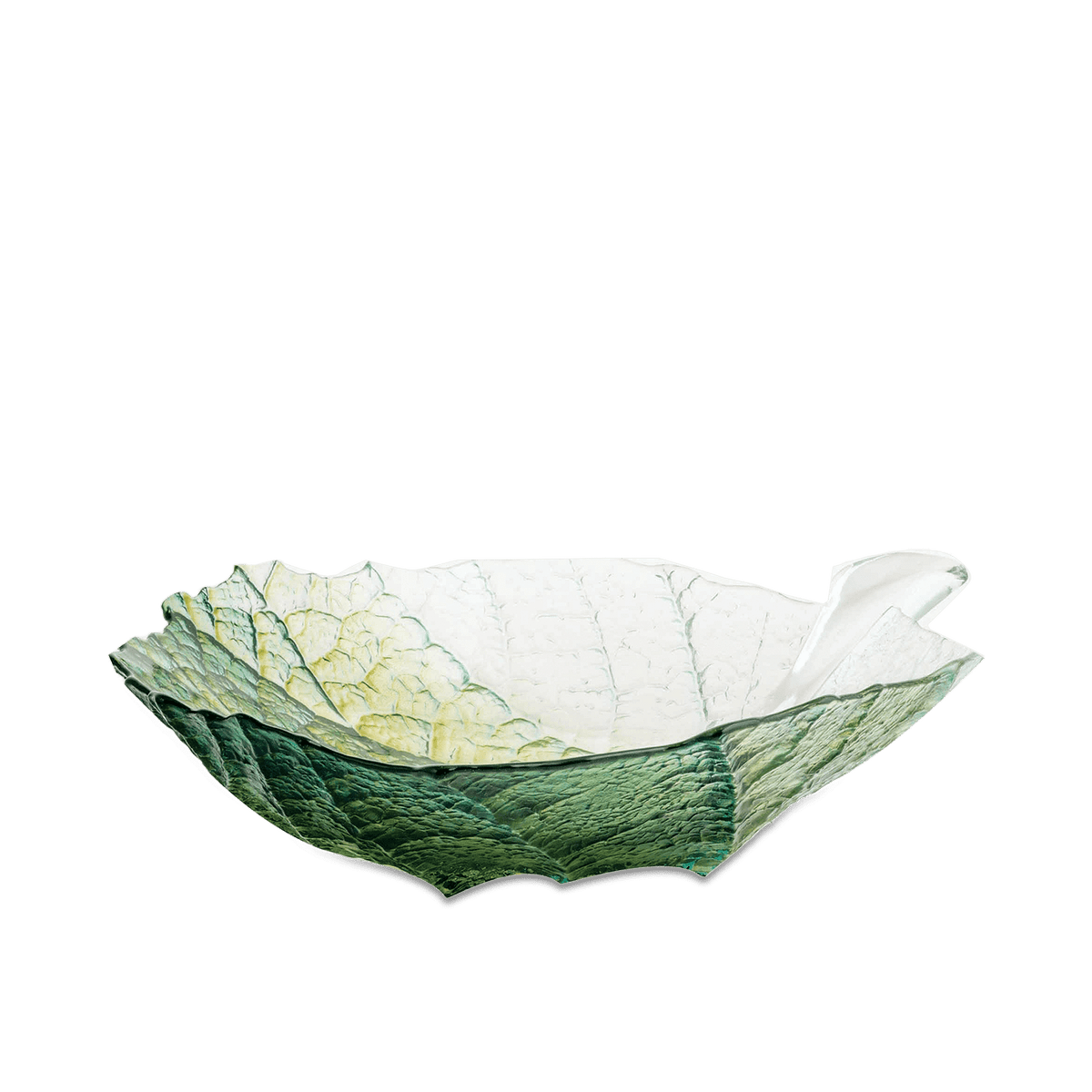 RI004931_3
