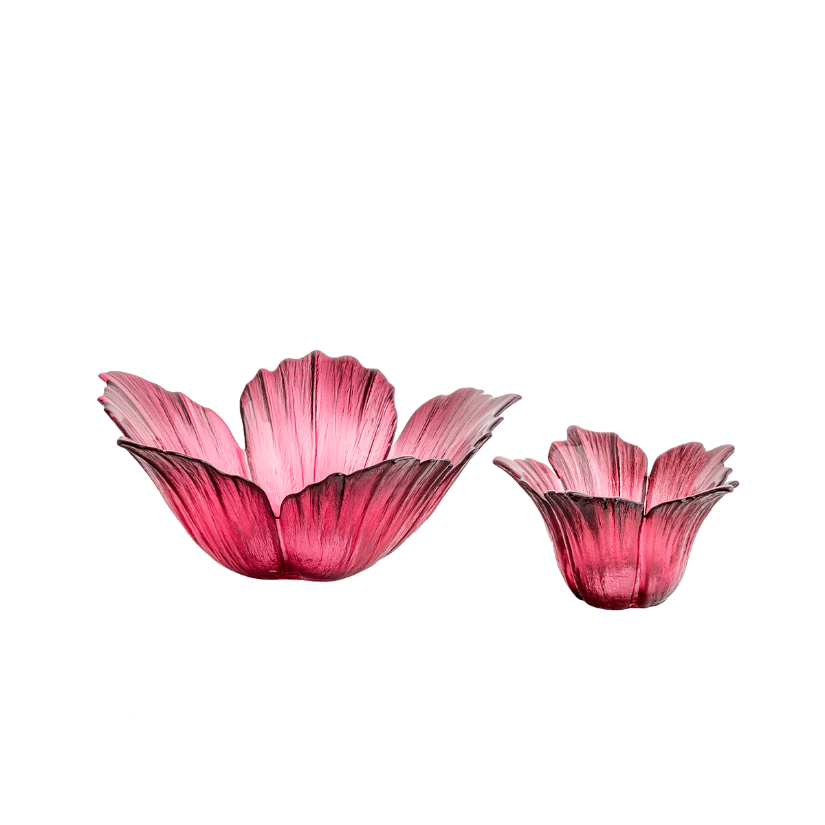 RI004934_2_1