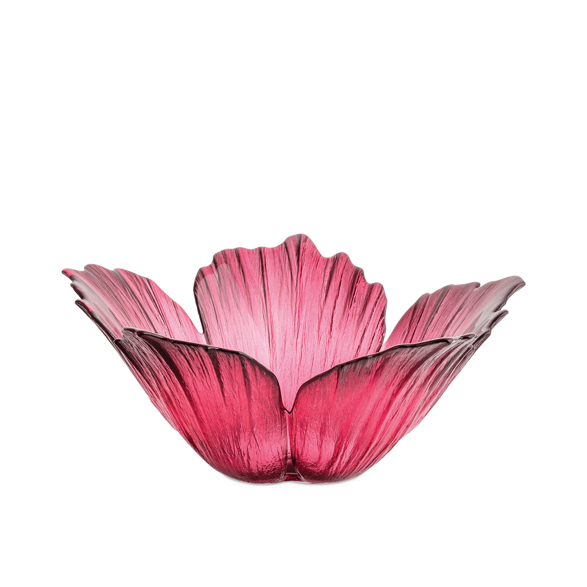 RI004934_3