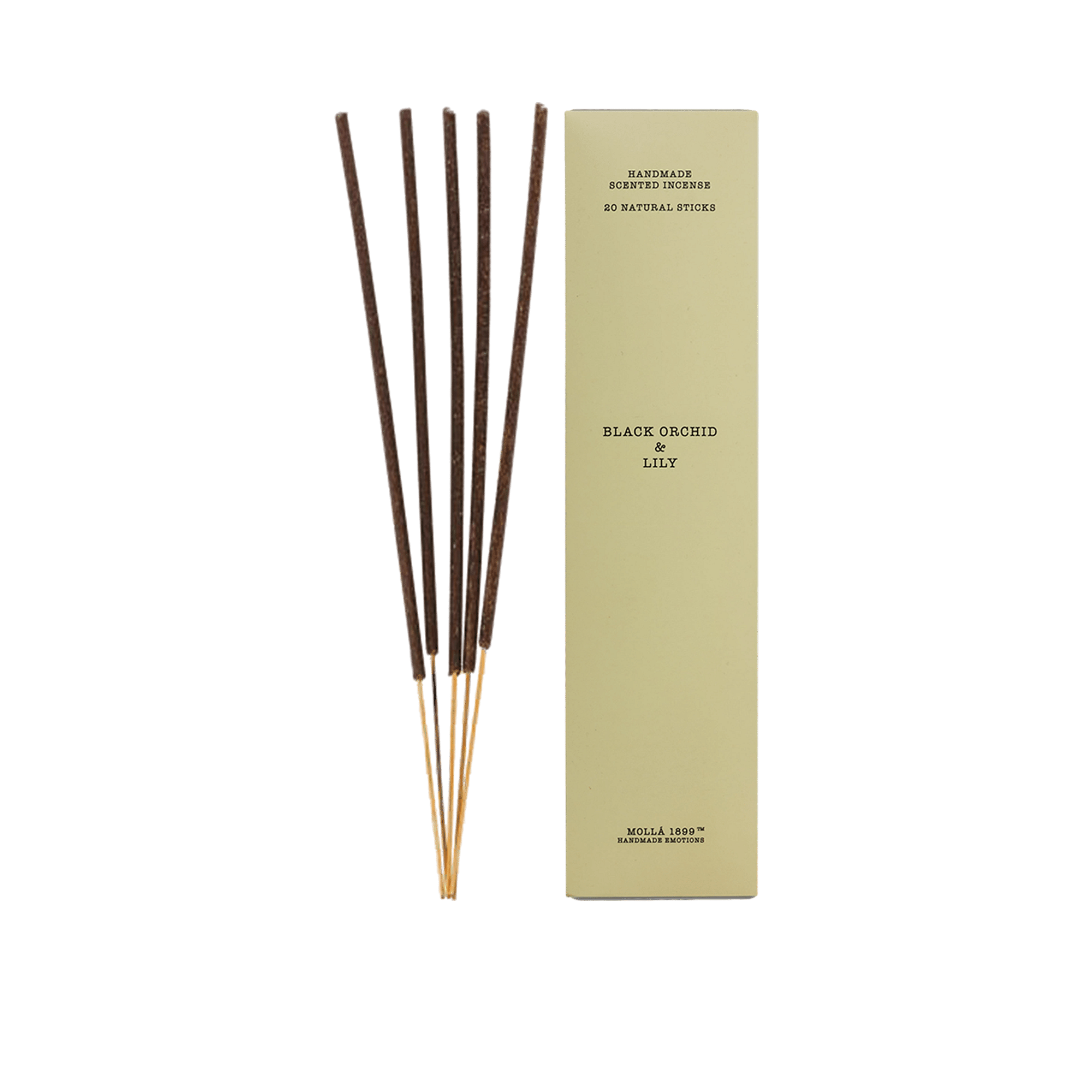 RI004966_4