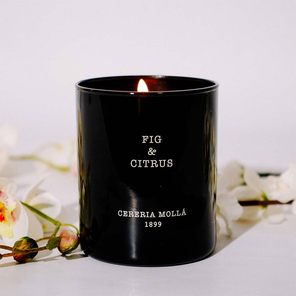 Fig & Citrus 3 Wick XL Scented Candle