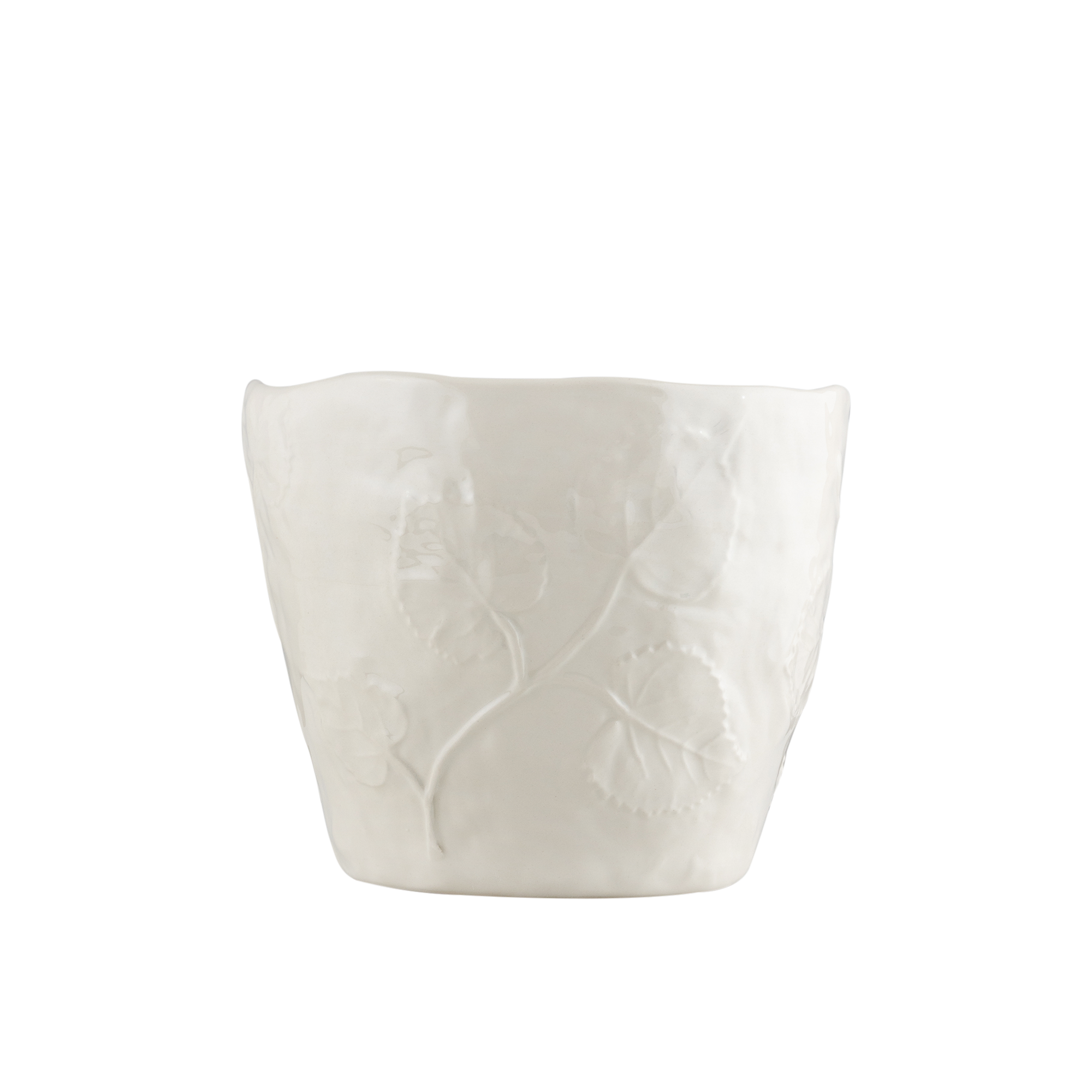 Botanical Indoor Planter
