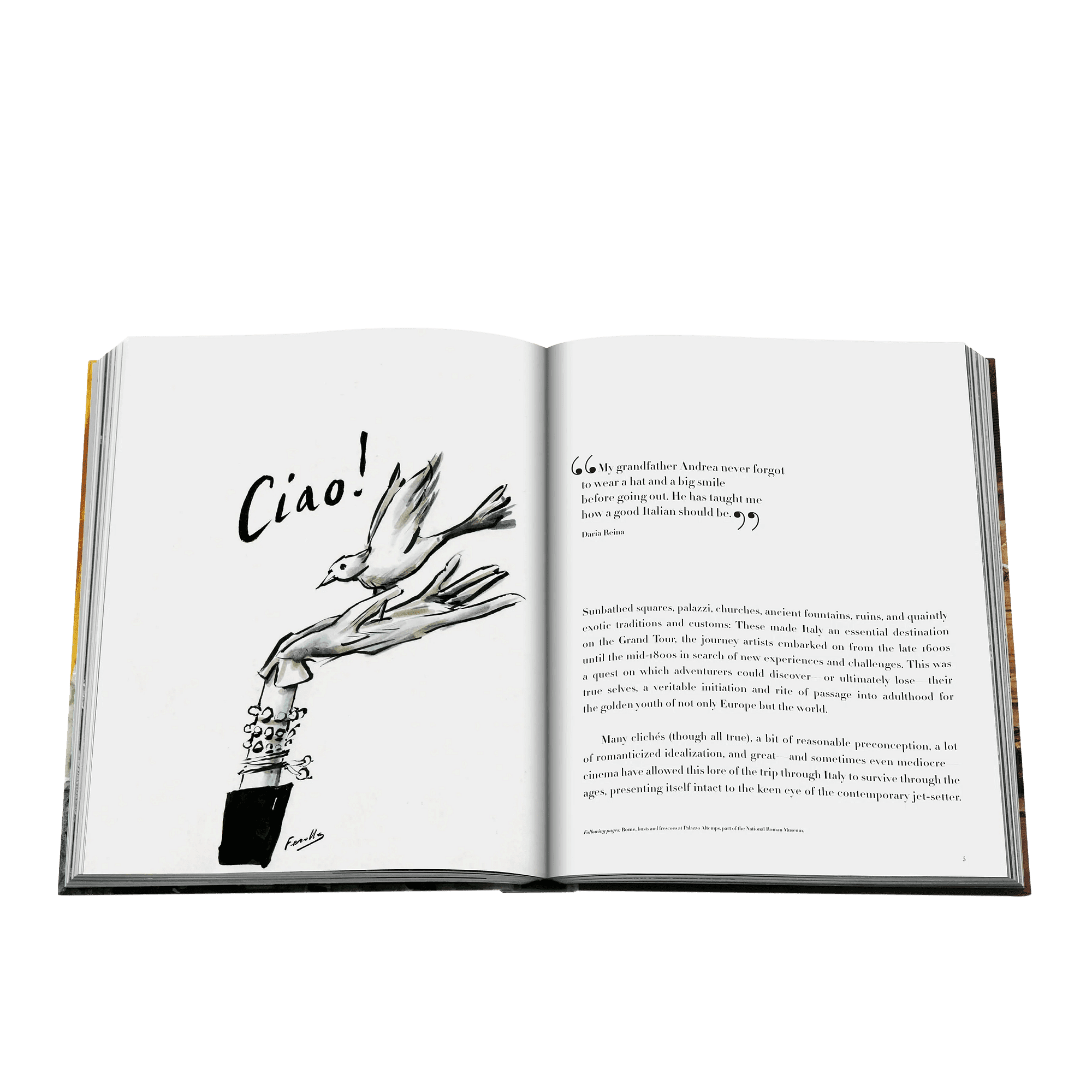 Italian Chic Coffee Table Book