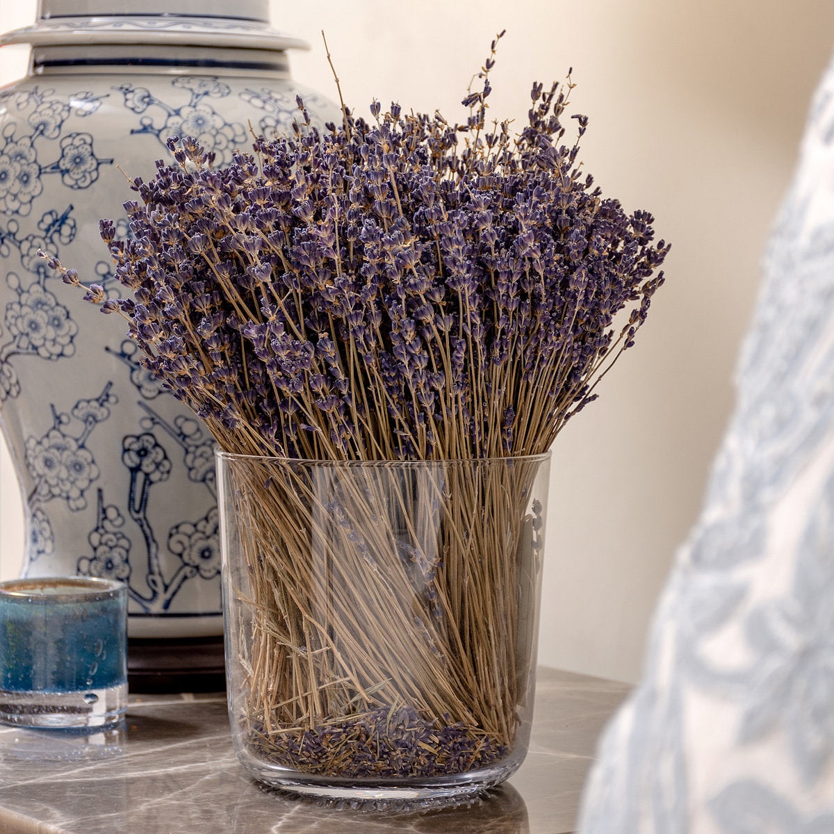 Echinops Dried Botanical