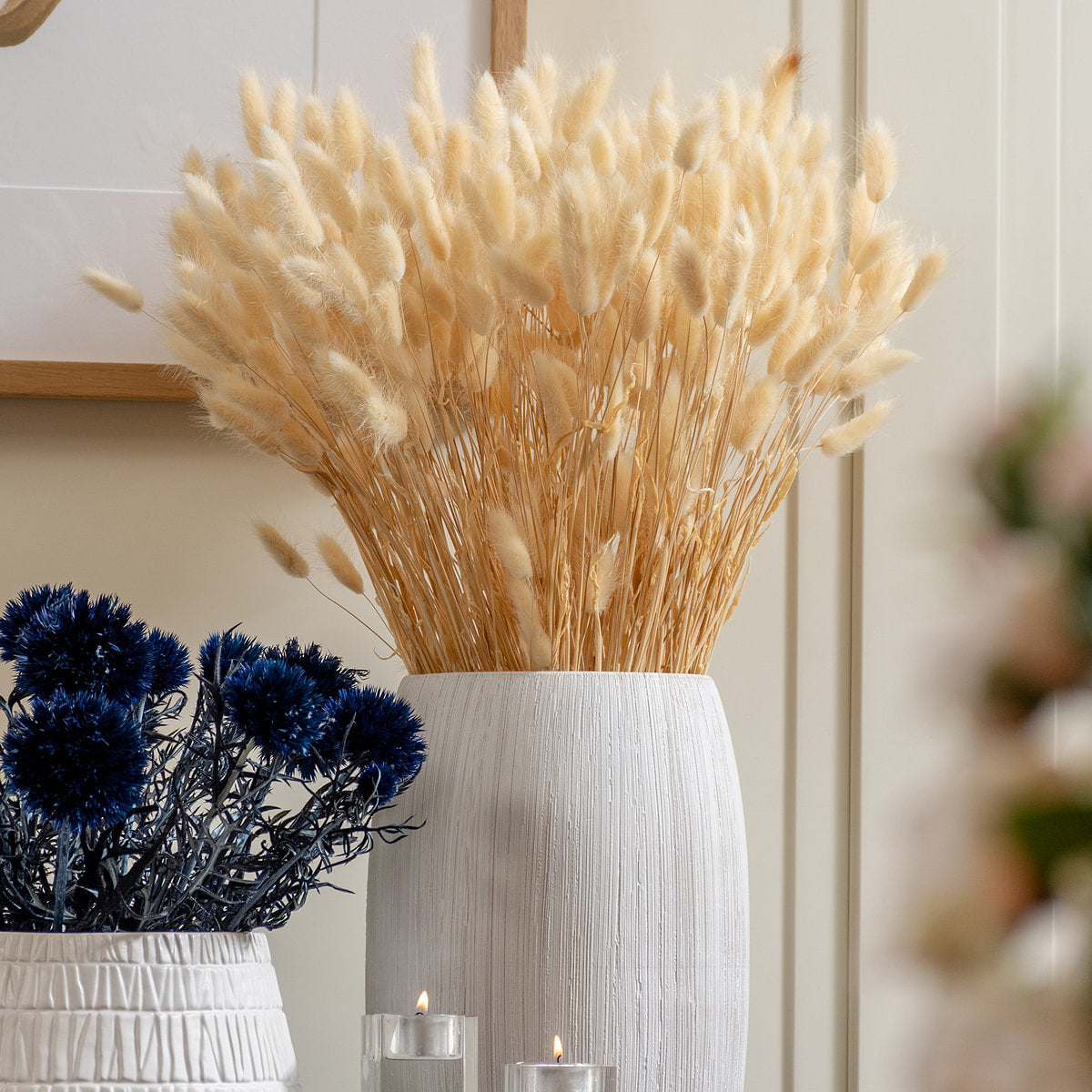 Lagurus  Blanc Dried Botanical