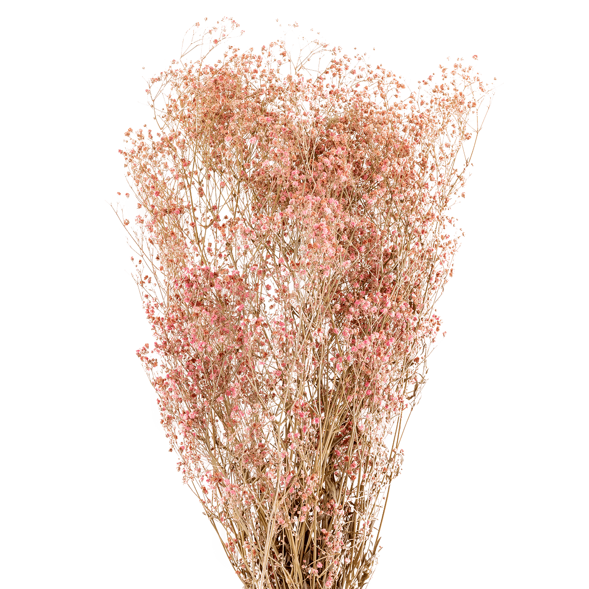 /R/I/RI006121_1_1.png