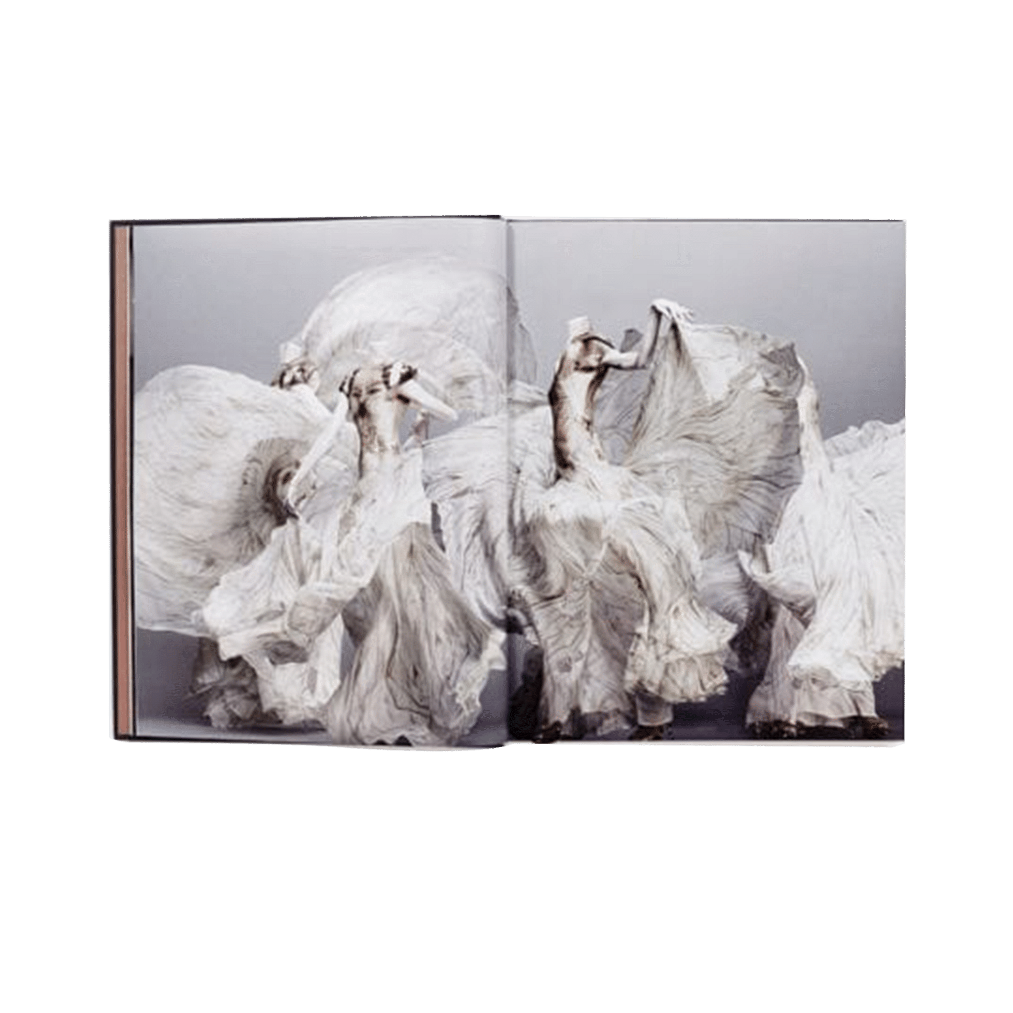 Alexander Mc Queen Coffee Table Book