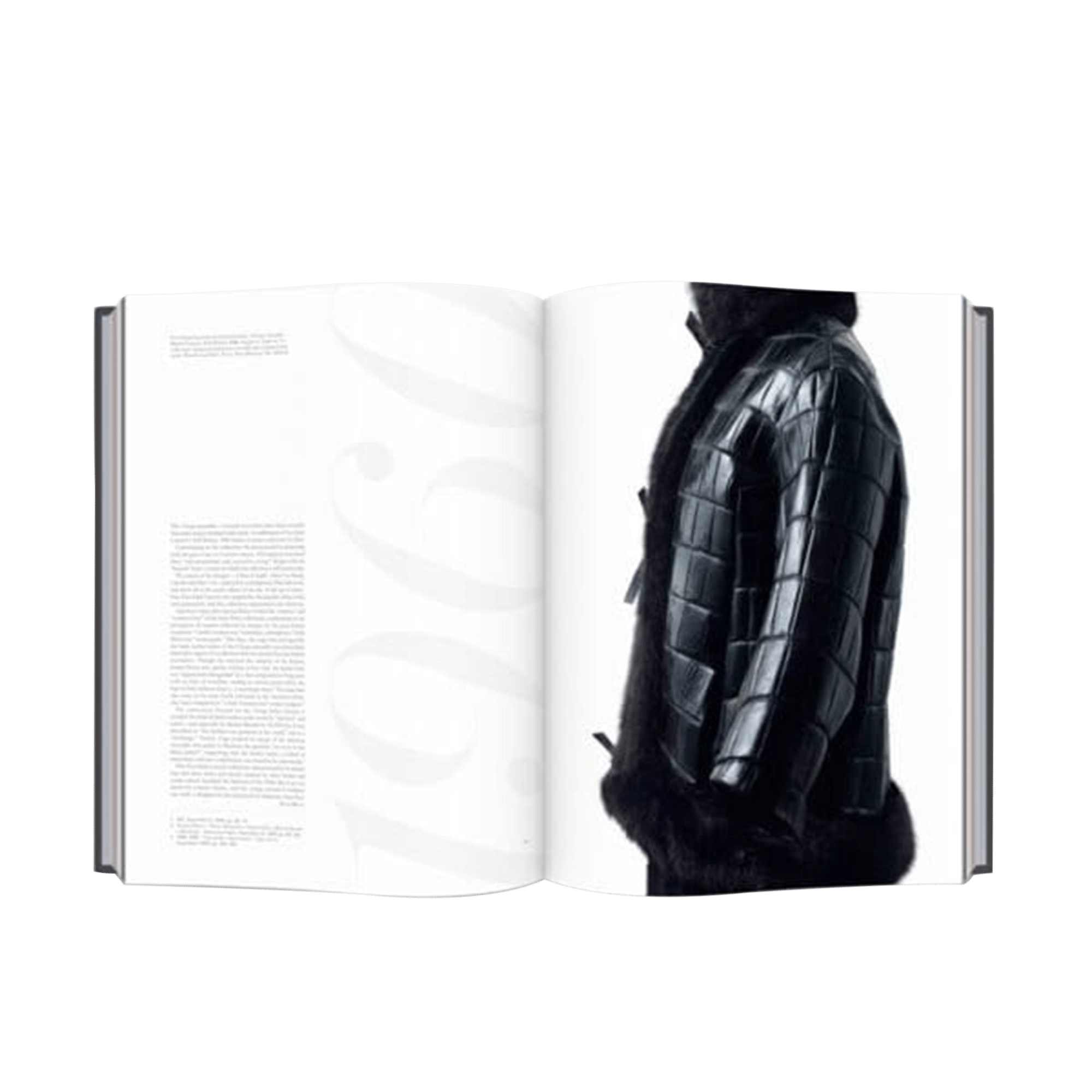 Christian Dior Designer of Dreams Coffee Table Book