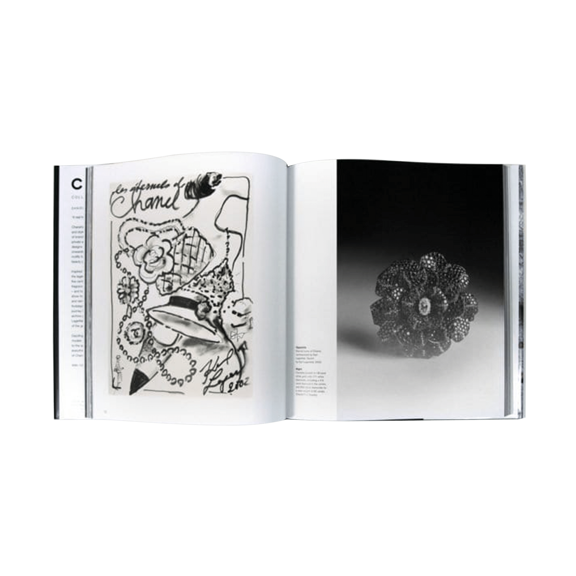 Coffee Table Book