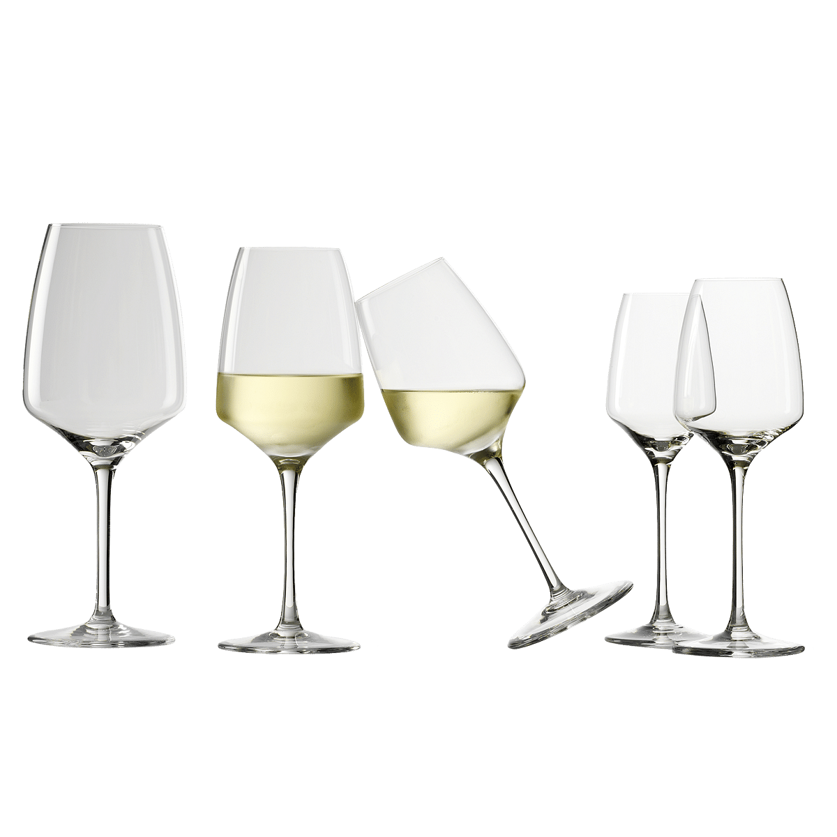 Experience Red Wine Glass