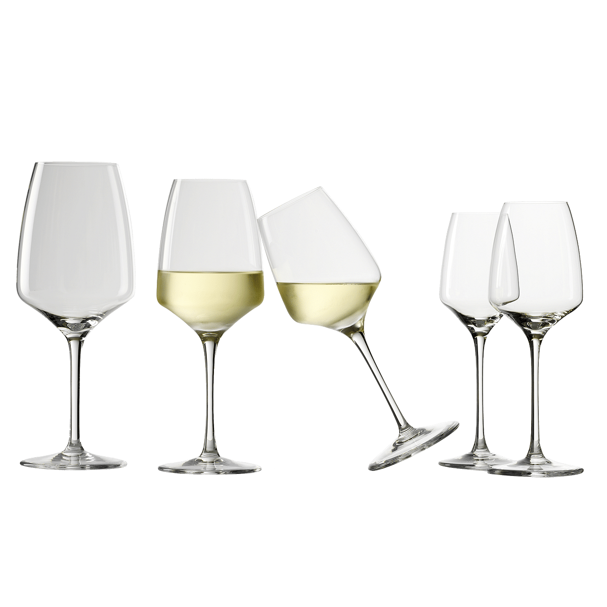 Experience Red Wine Glass