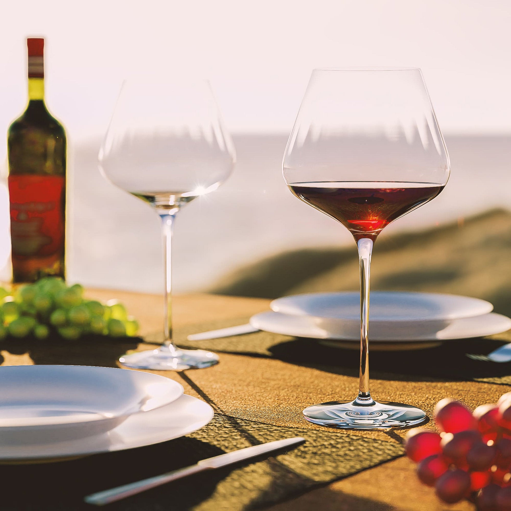 Symphony Burgundy Wine Glass