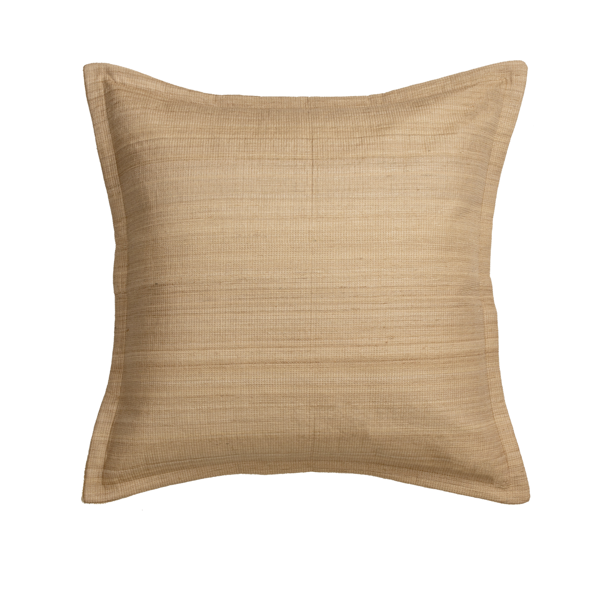 Avira Tussar Silk Decorative Cushion