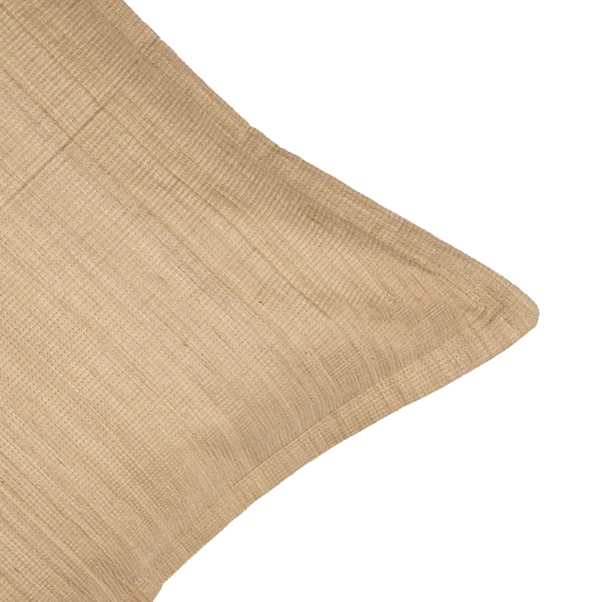 Avira Tussar Silk Decorative Cushion