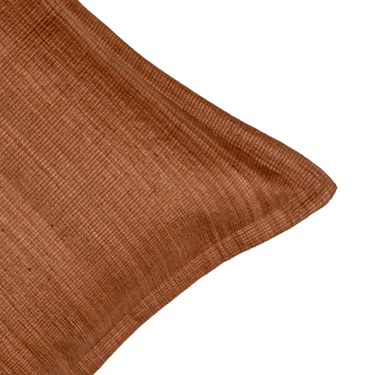 Avira Tussar Silk Decorative Cushion