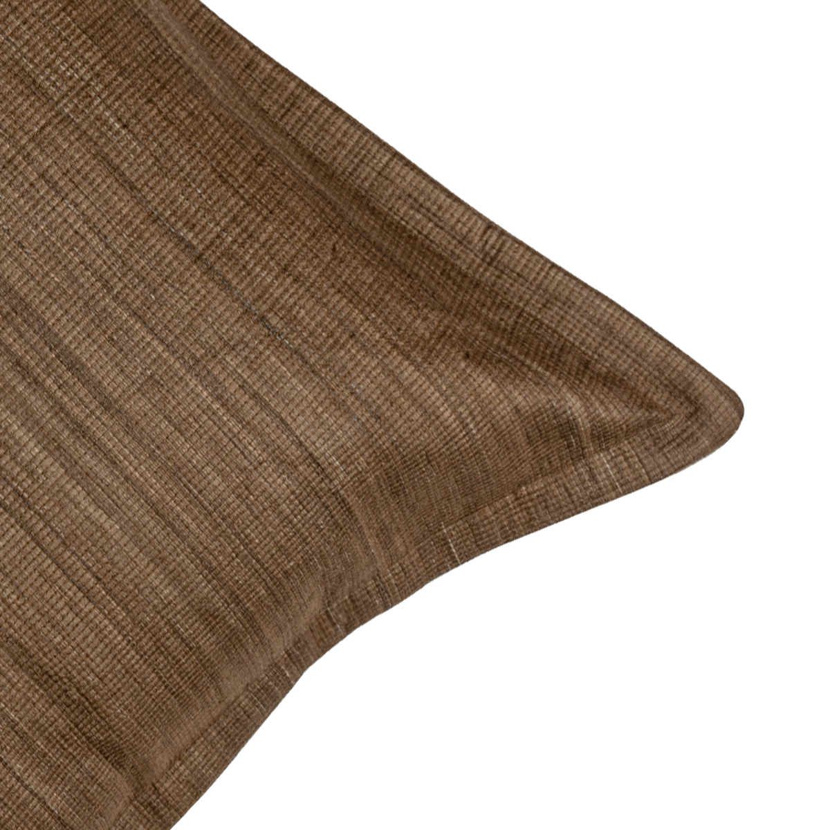 Avira Tussar Silk Decorative Cushion