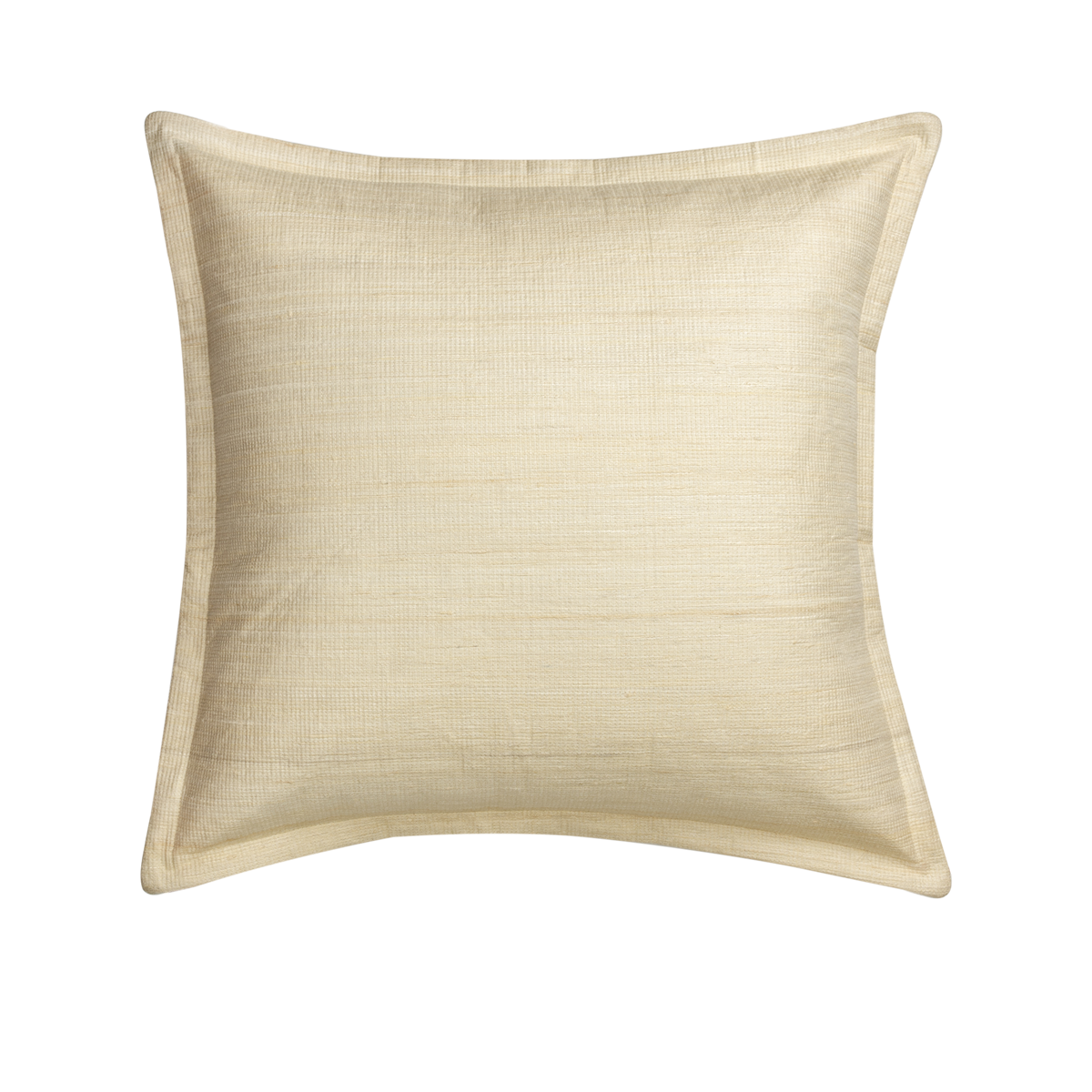 Avira Tussar Silk Decorative Cushion