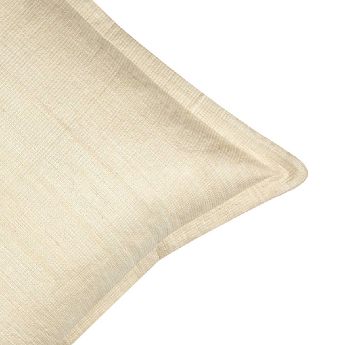 Avira Tussar Silk Decorative Cushion