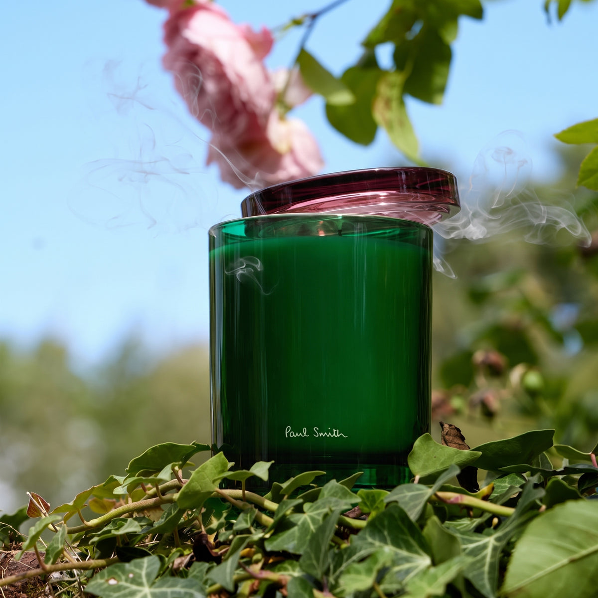 Botanist 3 Wick Scented Candle