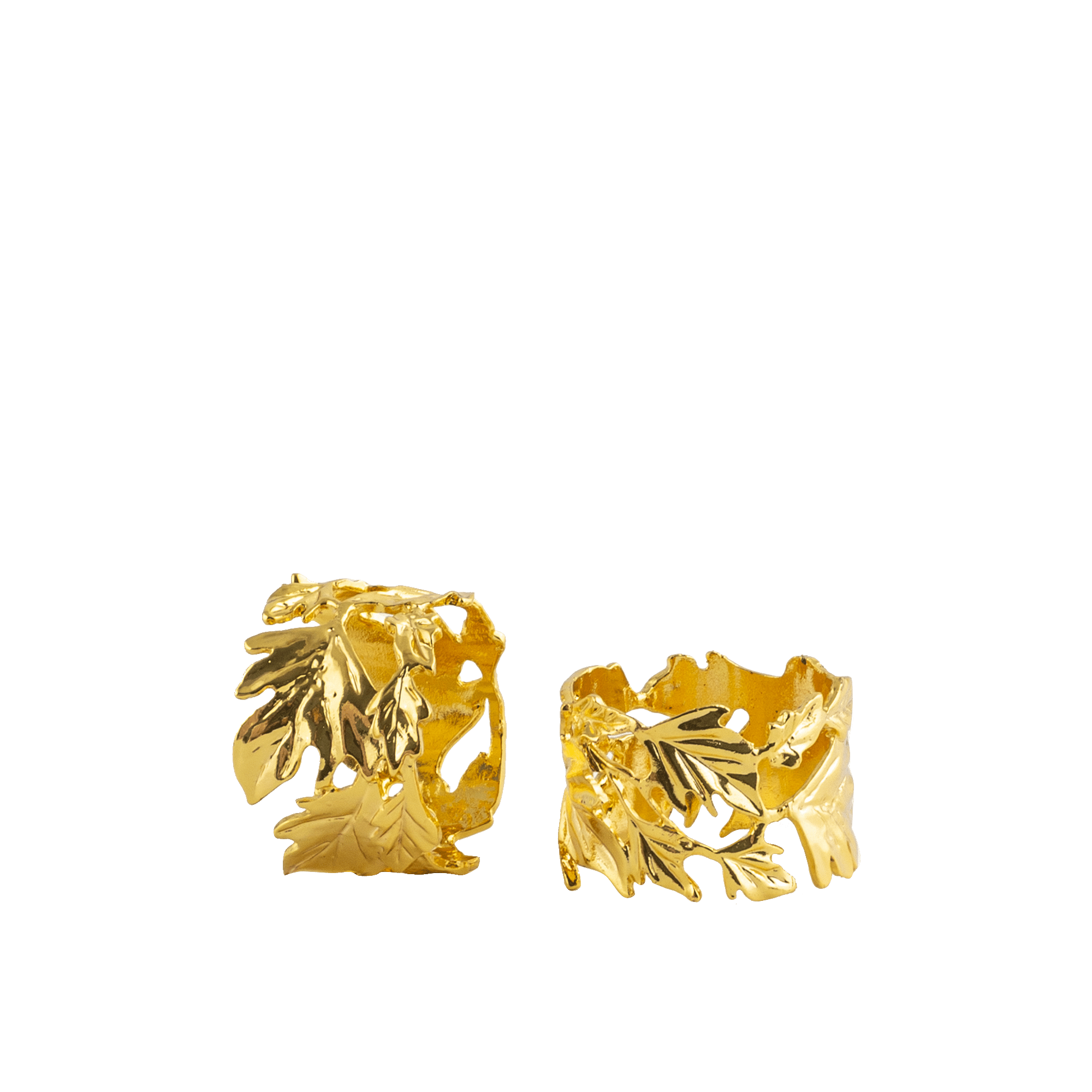 RI008981_1