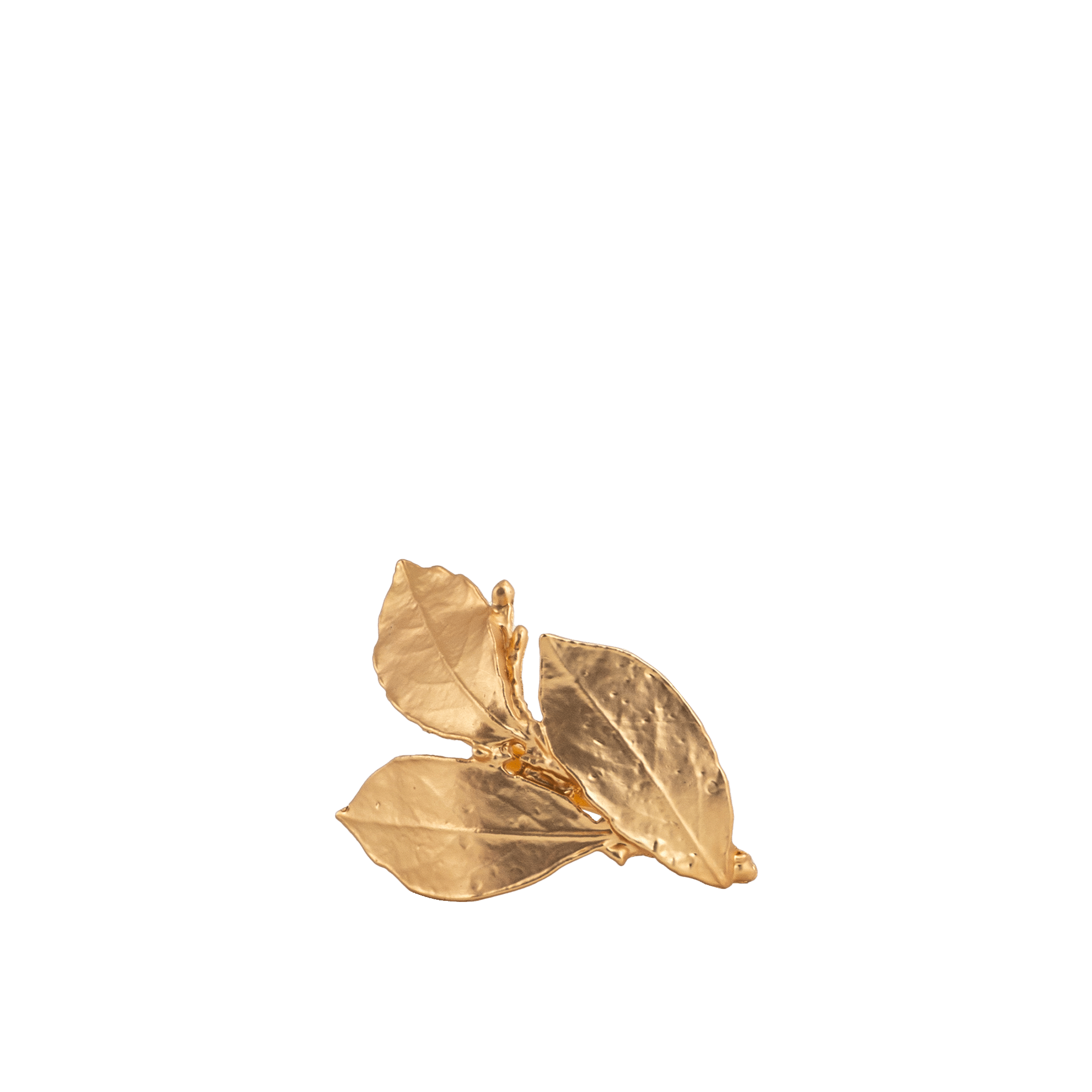 RI008984_1