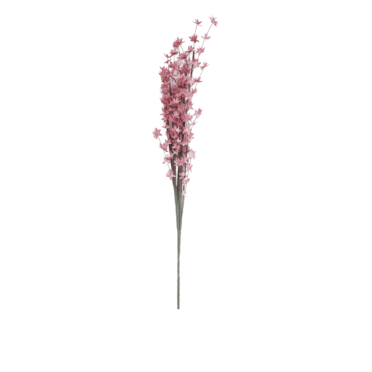 RI009077