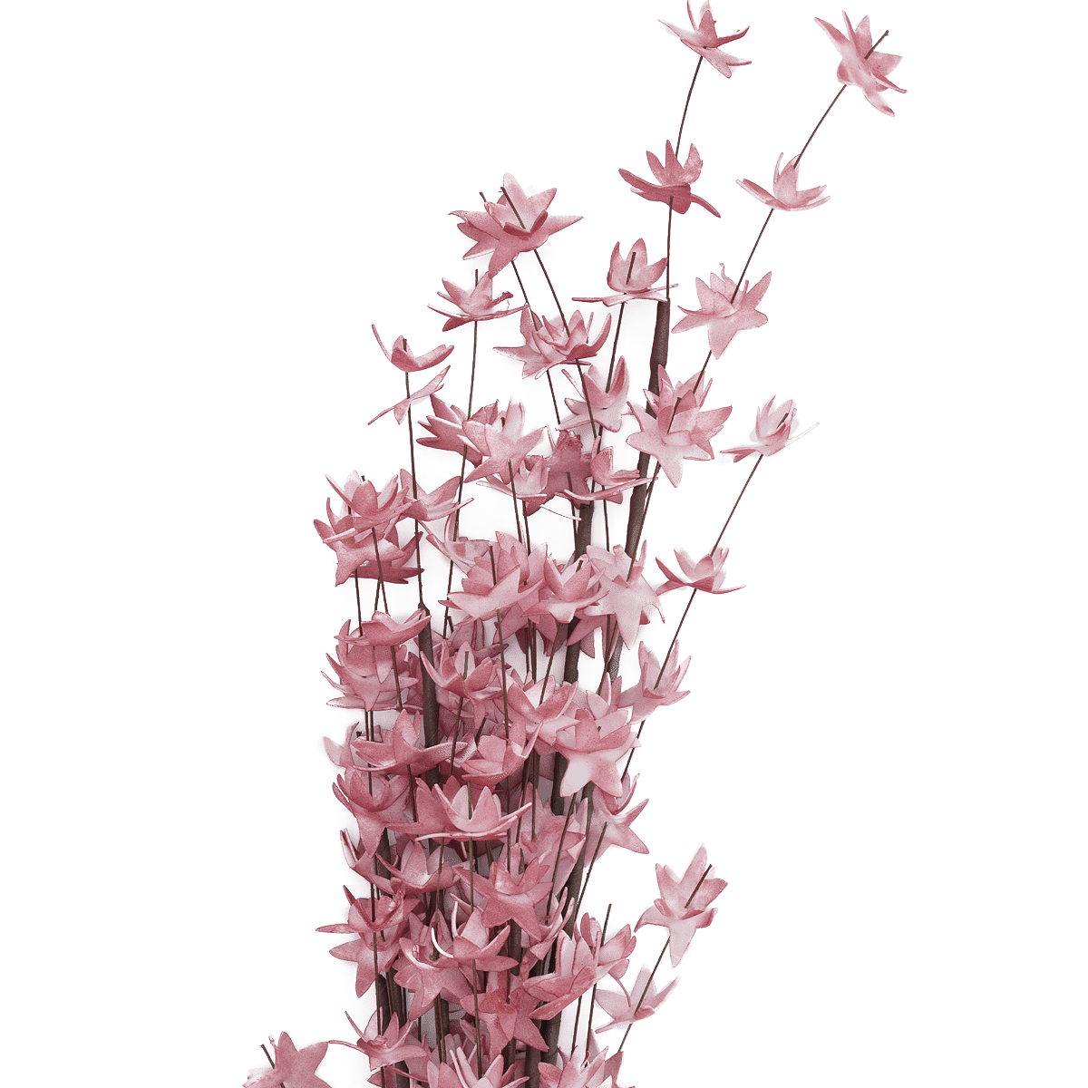 RI009077_1_1eb3eadd-94da-48c1-ab9f-62f0b7abfe7a