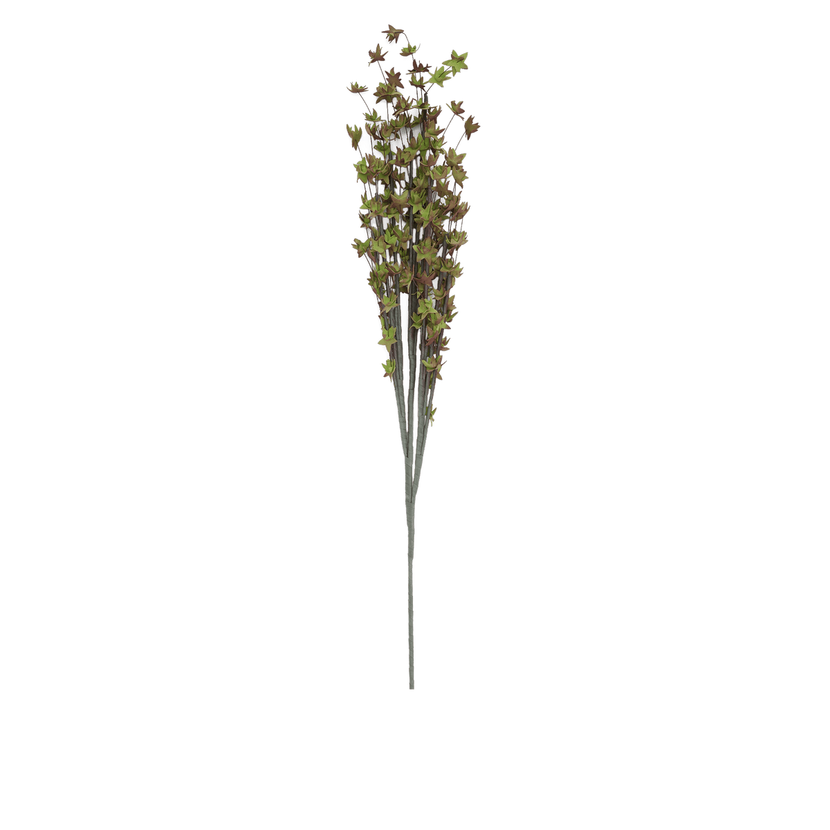 RI009079