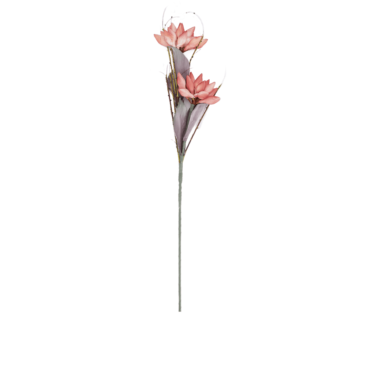 RI009080