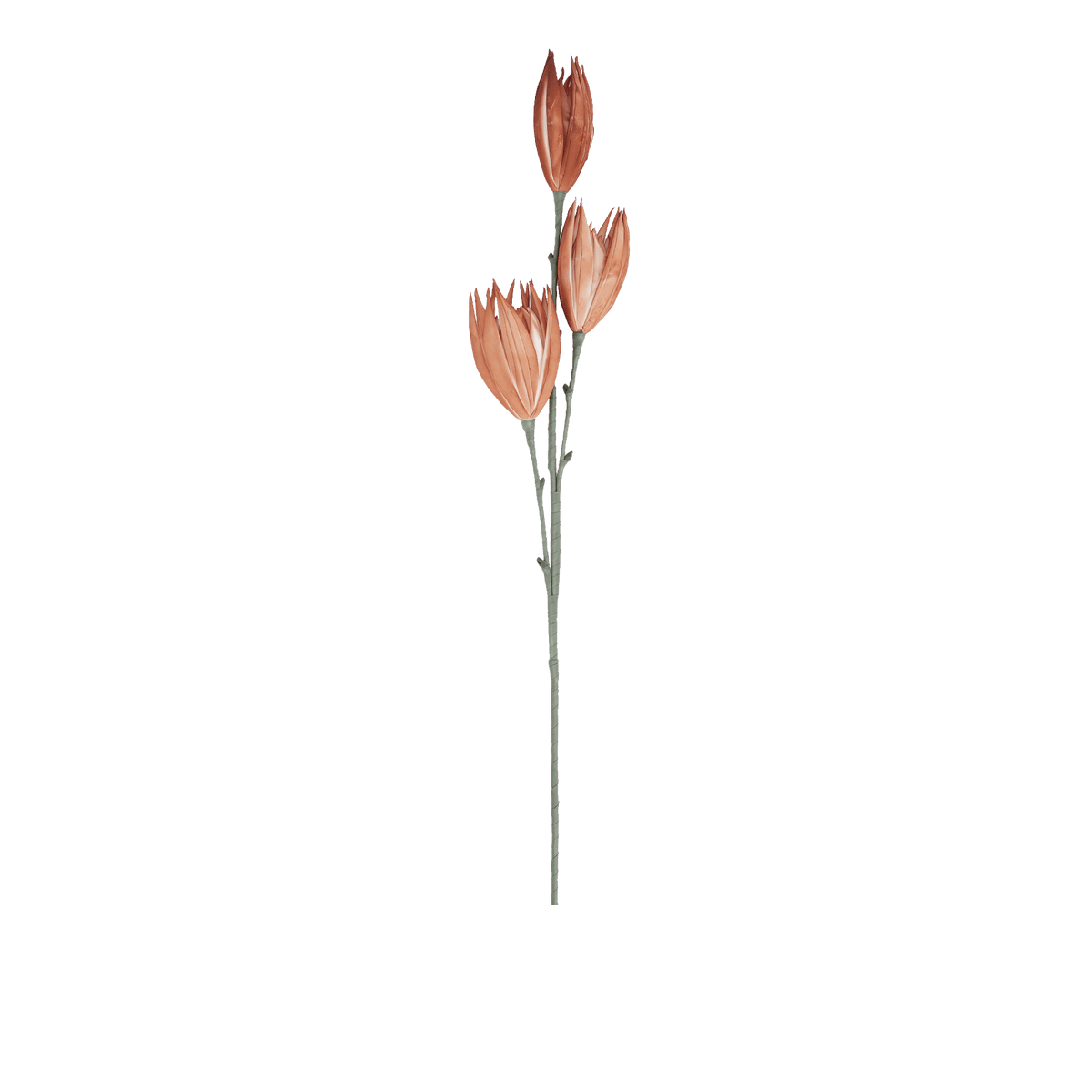 RI009081_ca4db7b7-11b5-4e1c-8556-f71a3a8c4852