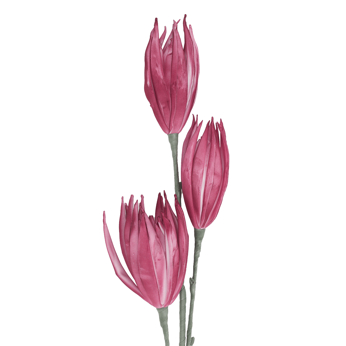 /R/I/RI009082_1.png