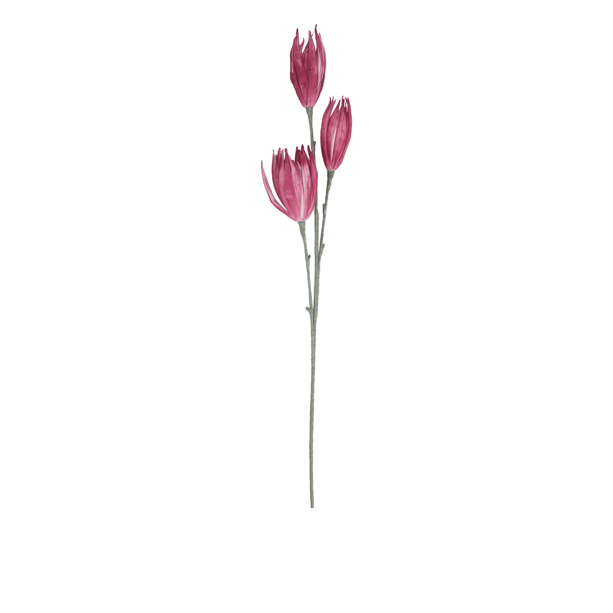 RI009082_42426b24-8d23-4653-bdef-e5df6a7c19f9