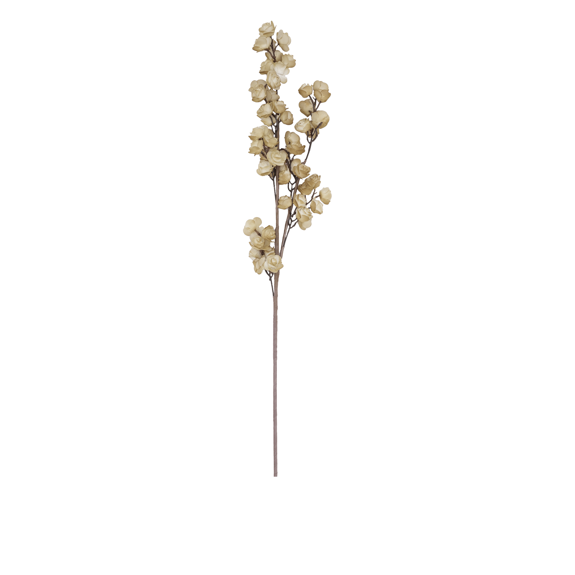 ROSE FLOWER BROWN