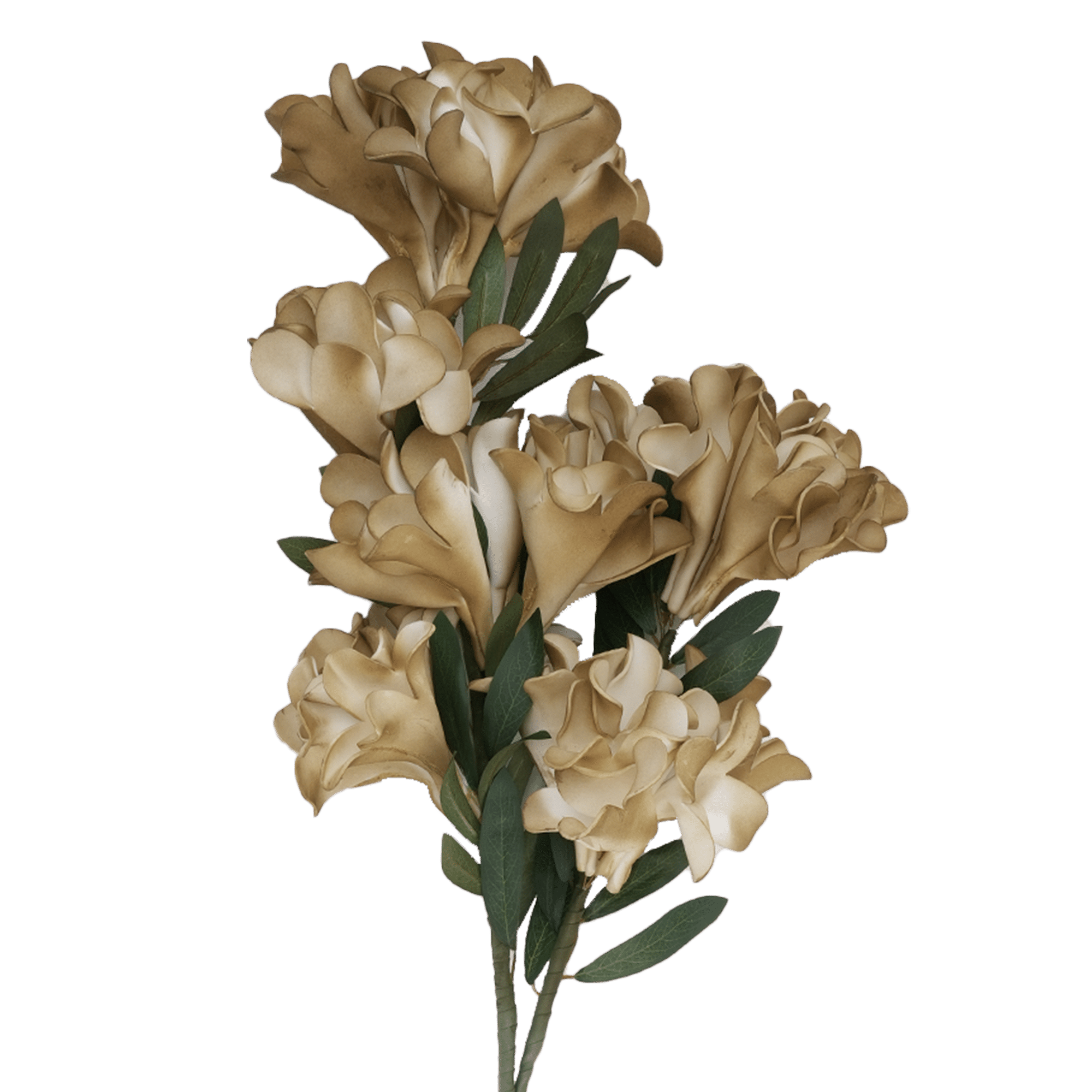 RI009087_1