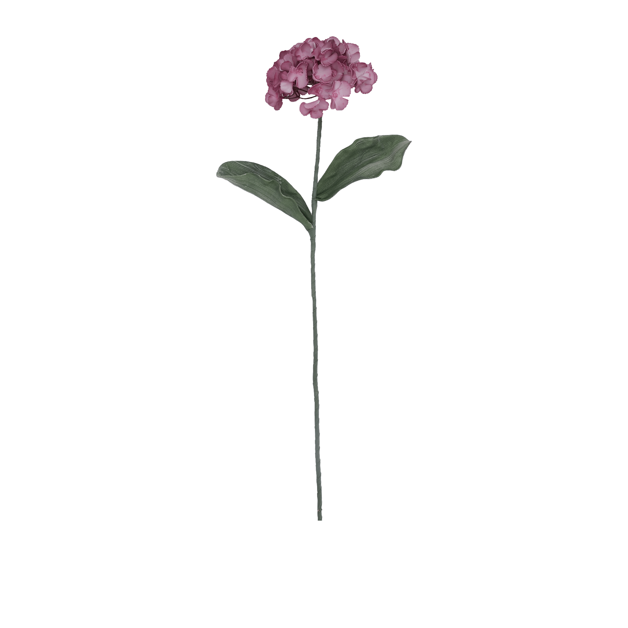 HYDRANGEA FLOWER PEACH