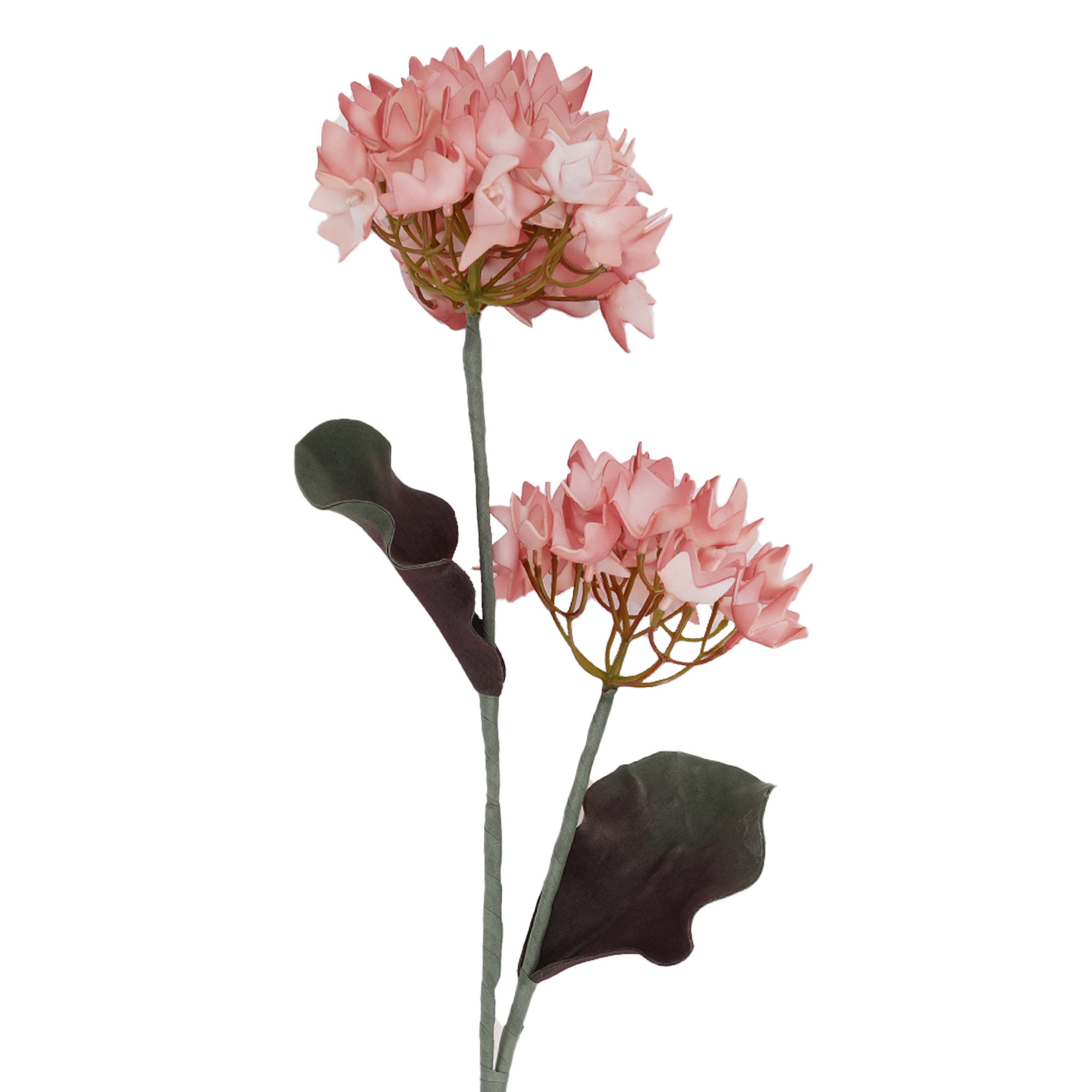 RI009096_1