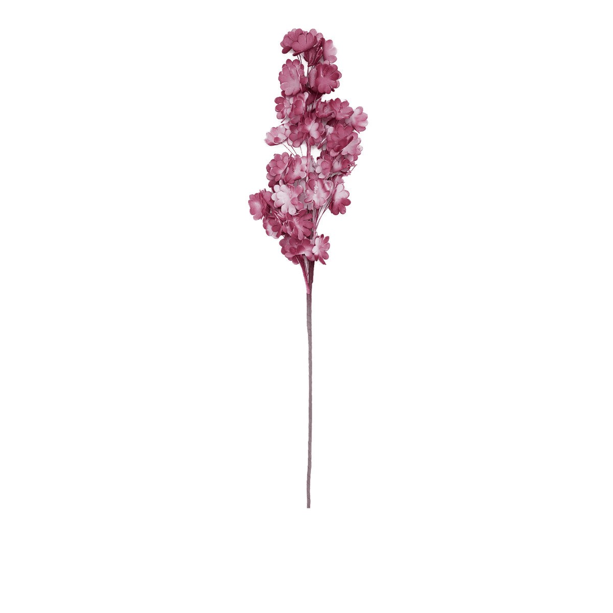 RI009097