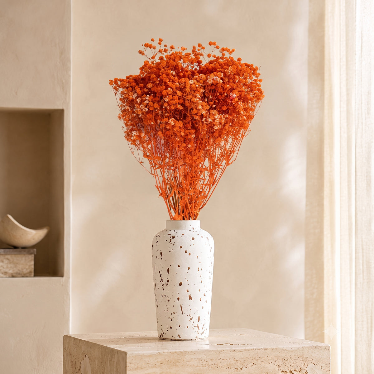 Gypsophila Paniculata Dried Botanical