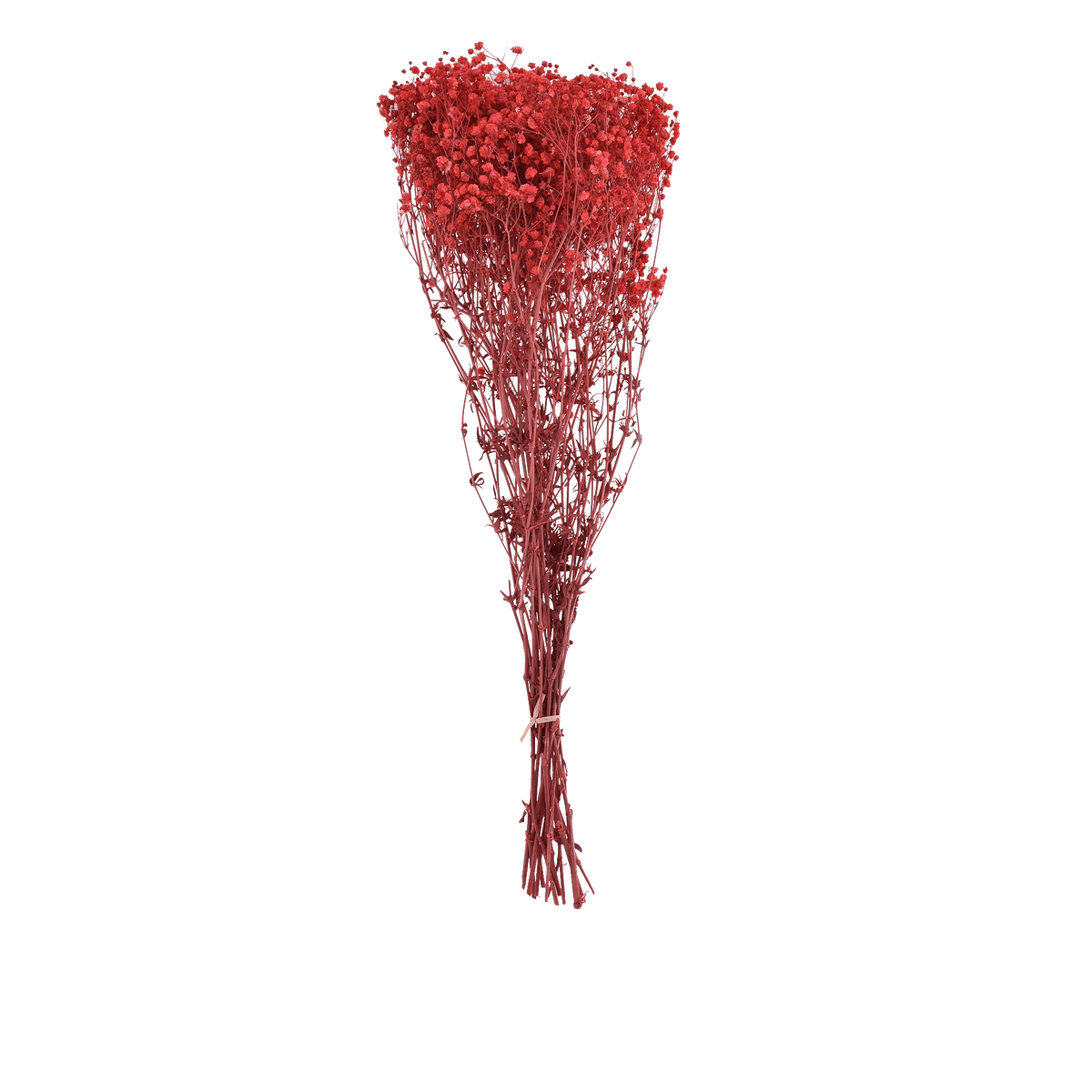 RI009541