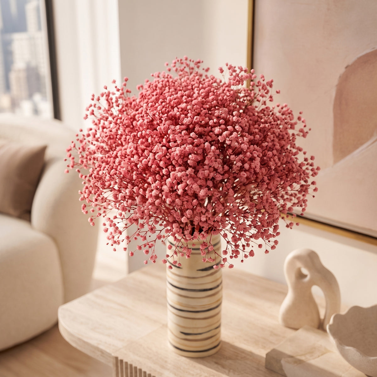 Gypsophila Paniculata Dried Botanical