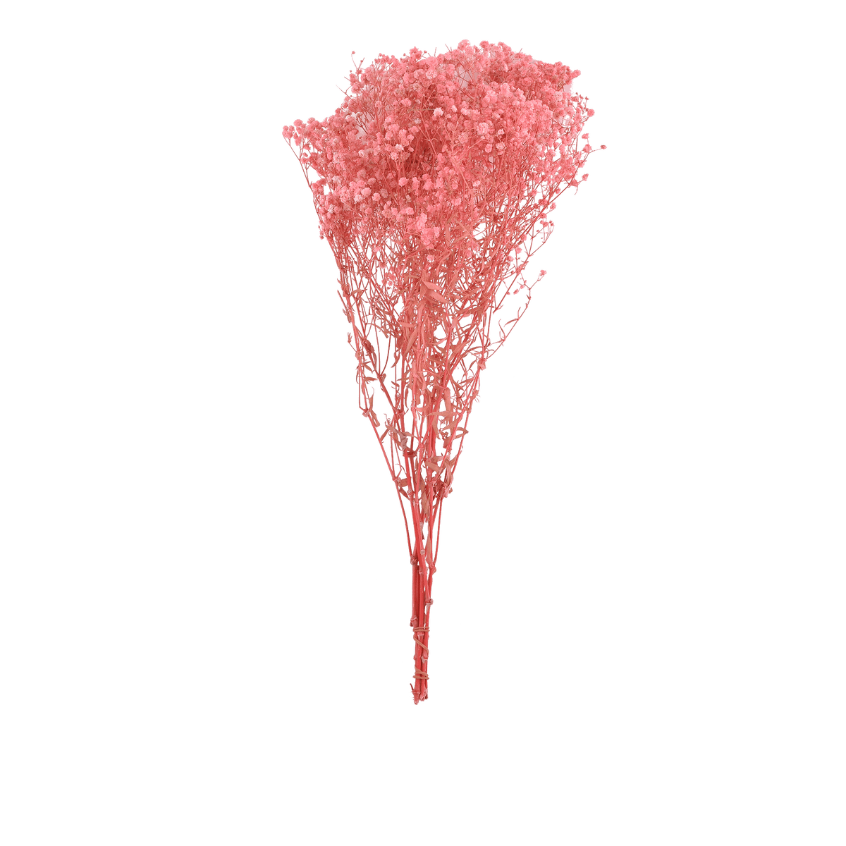 RI009543