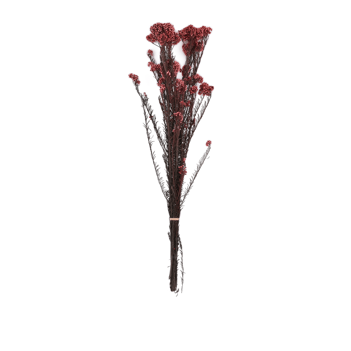 RI009548